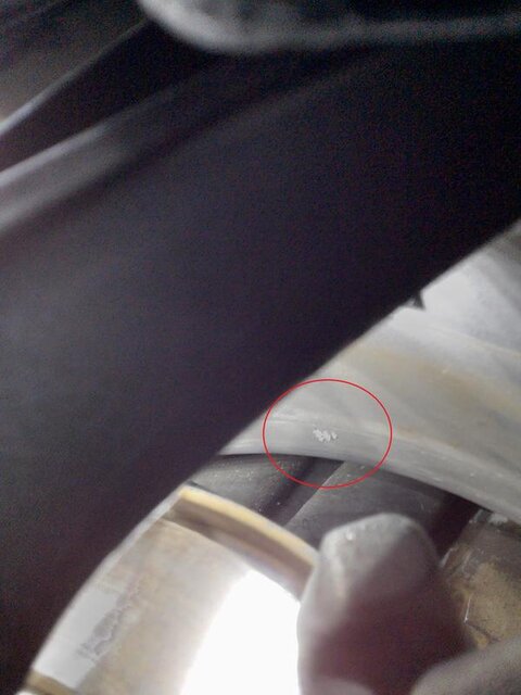 IMG-20191106-212040.jpg