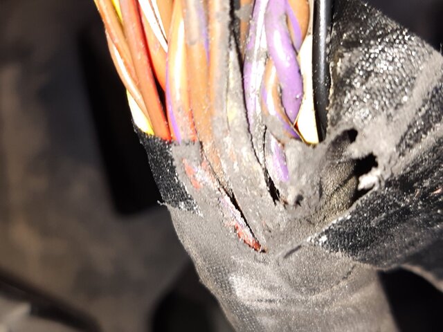 20210802_111539.jpg 20210802_111539.jpg