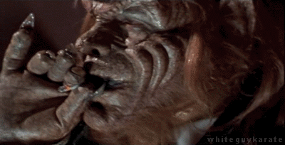 dl0y.gif