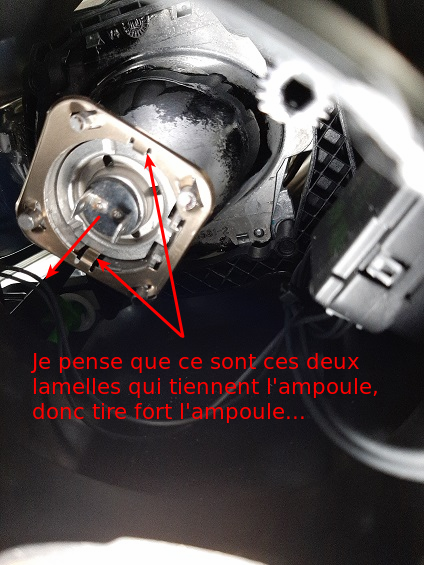 1636631057600.png