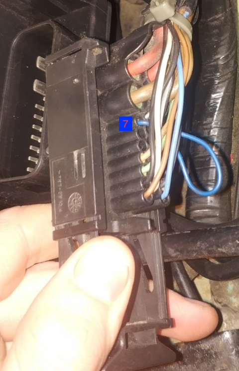 pin 7.png