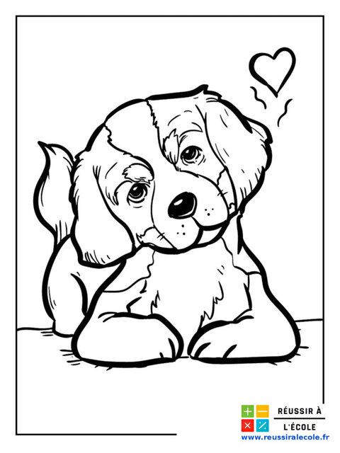 image-de-chien-1.jpg