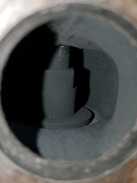 20220425_155542.jpg