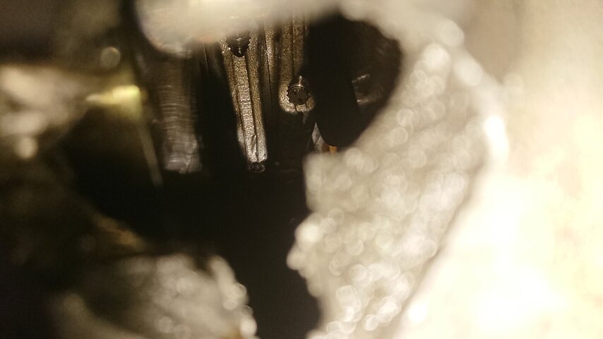 DSC_1671.JPG