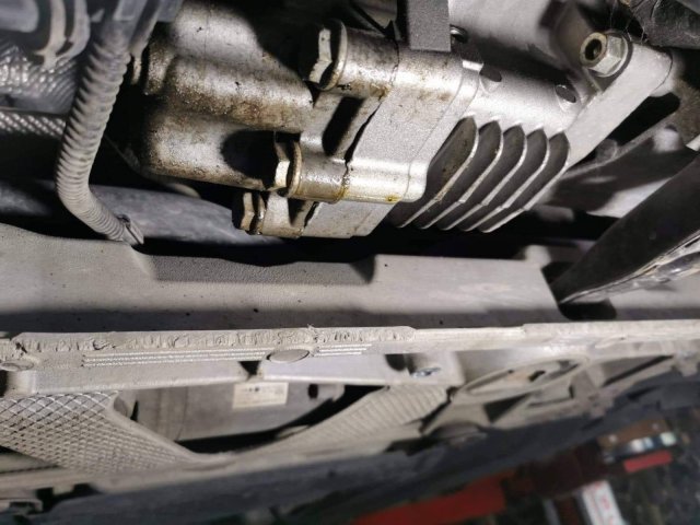 received_458868719707409.jpeg