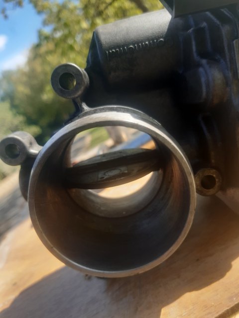20220930_135446.jpg