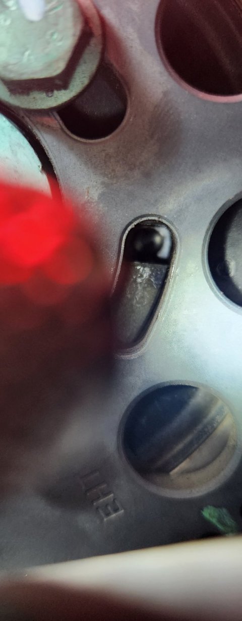 20230204_111205.jpg