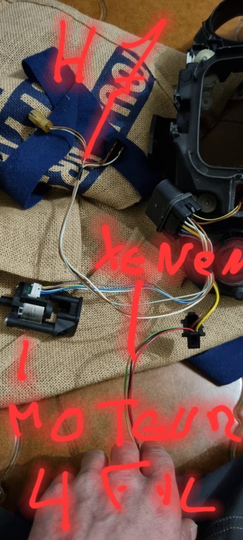 20230209_083904.jpg