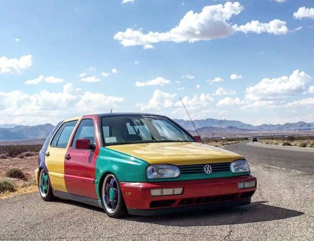 Harlequin.jpg