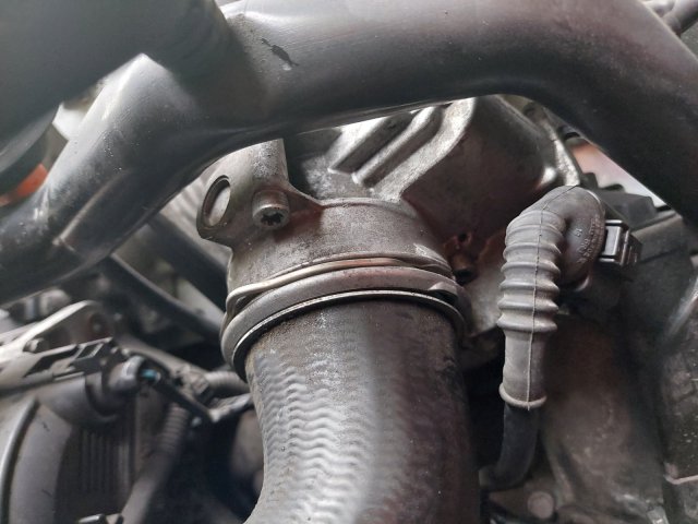20230506_181042.jpg