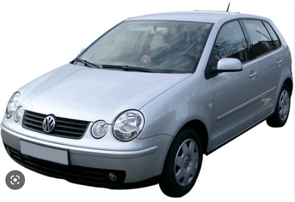 polo.png