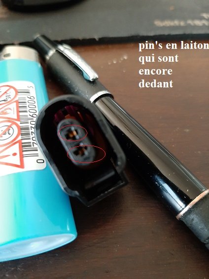 20230803_114417.jpg