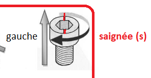 saignée.png
