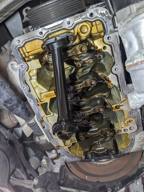 PXL-20250929-130138998.jpg