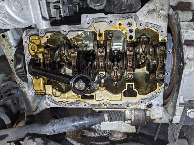 PXL-20250929-130209708.jpg