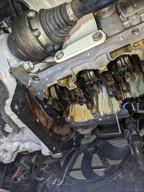 PXL-20250929-140005664.jpg