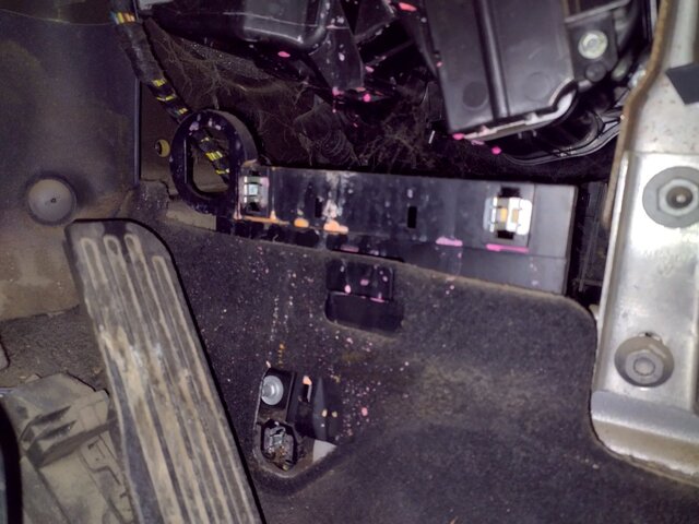 IMG_20251025_074951818.jpg IMG_20251025_074951818.jpg