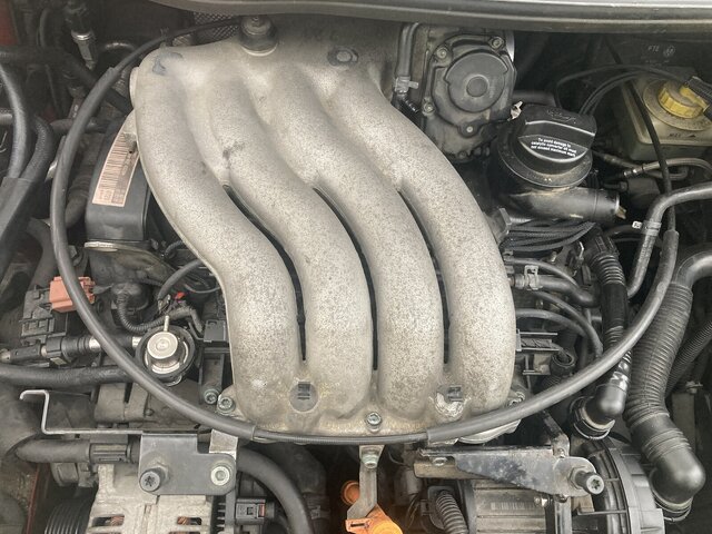 IMG_4129.JPG IMG_4129.JPG