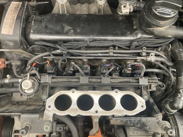 IMG_4131.JPG IMG_4131.JPG