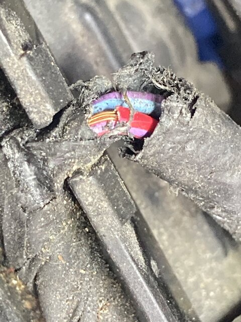 IMG_4136.JPG IMG_4136.JPG