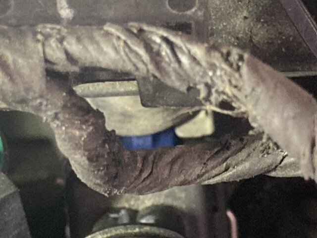 IMG_4137.JPG IMG_4137.JPG