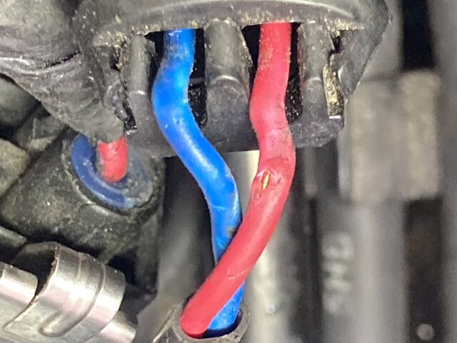 IMG_4133.JPG IMG_4133.JPG