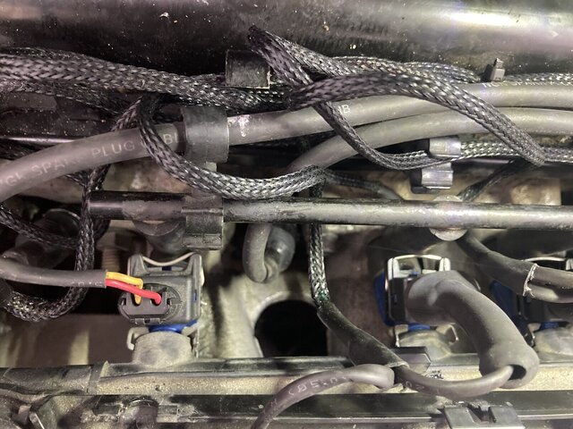 IMG_4142.JPG IMG_4142.JPG