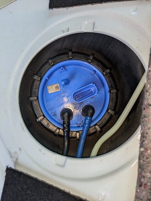 PXL_20260126_135010621 (1).jpg