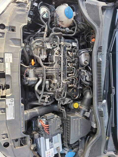 WhatsApp Image 2026-01-26 at 16.25.55.jpeg