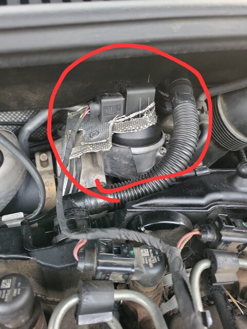 WhatsApp Image 2026-01-26 at 16.24.51.jpeg