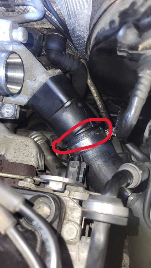 WhatsApp Image 2026-02-05 at 20.57.07.jpeg