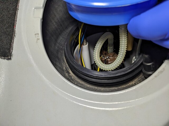 PXL_20260209_172238338 (1).jpg