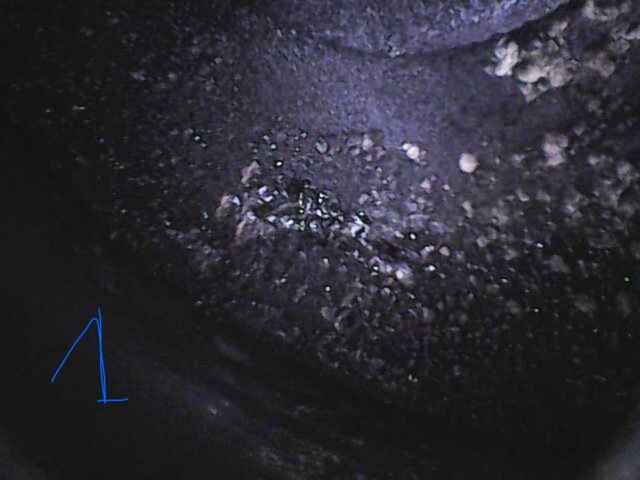 Image_2026-05-16 10_15_42_460.jpeg