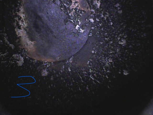 Image_2026-05-16 10_17_15_358.jpeg