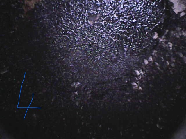 Image_2026-05-16 10_51_40_687.jpeg