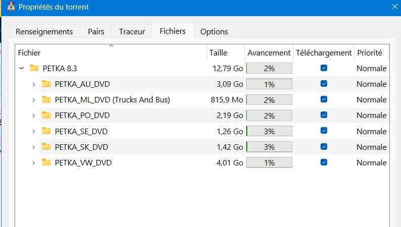 torrent.jpg