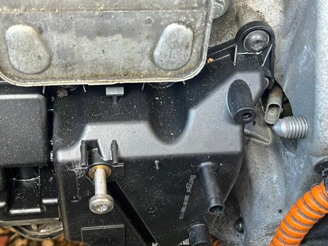 A6E60F78-1485-46D3-AB23-F8A543ED6B48_1_105_c.jpeg