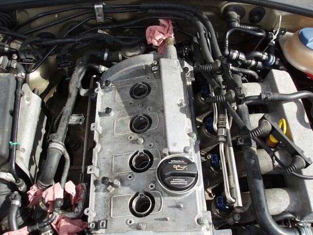 P5213120.JPG