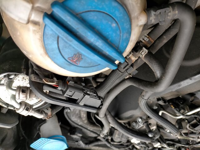 IMG20201006090434.jpg