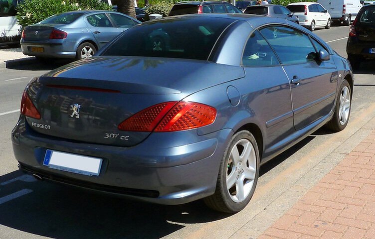 307cc11.jpg
