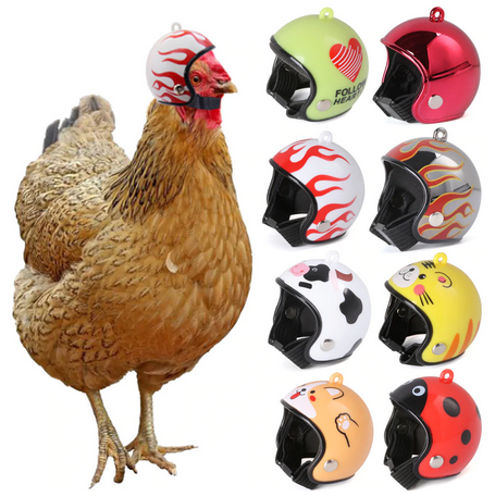 poule.png