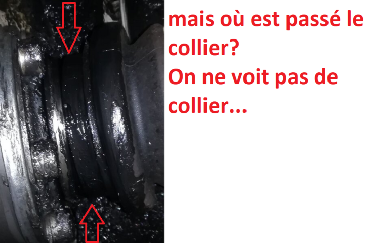 collier.png