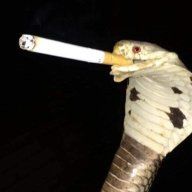 DrN0pe