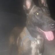 zizou