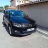 vignard