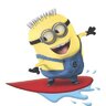 Ricousurf35
