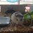 Garage CASP
