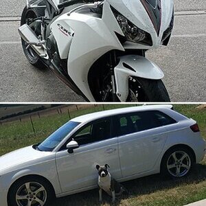AUTO/MOTO ACTUELLES