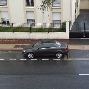 TOUTE SEULE.jpg