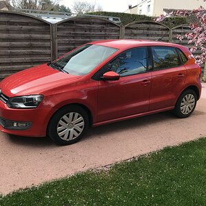 polo.jpeg